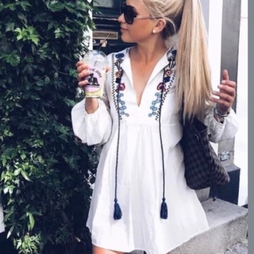 Zara Embroidered Dress